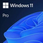 Microsoft Windows 11 Pro 64-bit DVD 1Pack
