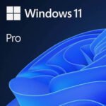 Microsoft Windows 11 Pro 64-bit DVD 1Pack